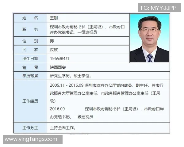 深圳排球队近期状态分析与表现评估探讨